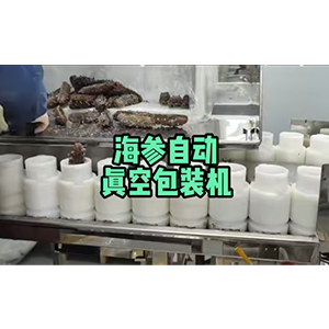 海參真空包裝機(jī)